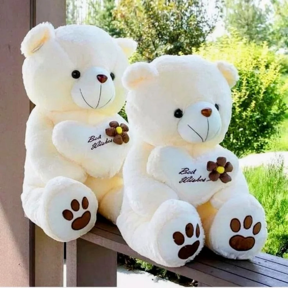 Sunshine Teddy Gift Pair